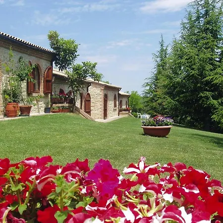 In La Ginestra In