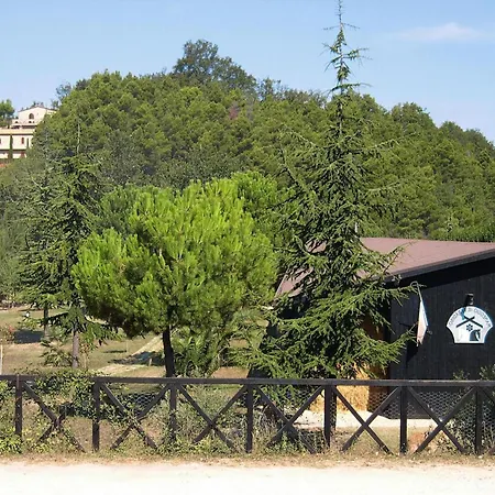 Apartamento In Marche With Scenic Hiking Trails *