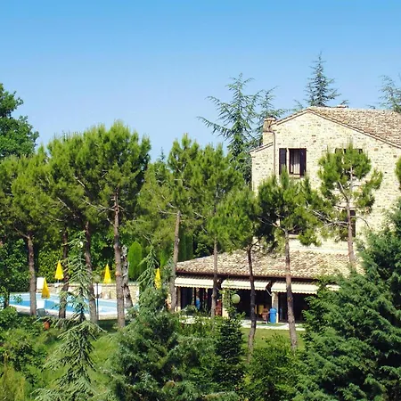 In La Ginestra In